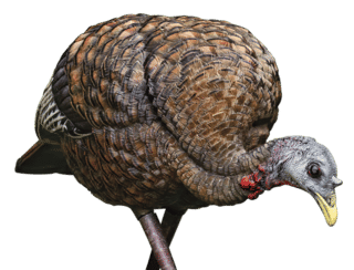 Avian X Feeder Hen Turkey Decoy Lifelike Collapsible Design features a rubber construction
